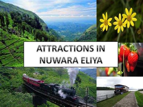 Jetwing Nuwara Eliya Hotels - Attractions in Nuwara Eliya