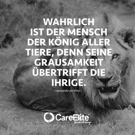 Jagd Zitate Spr Che Ber Das Jagen Wilder Tiere Inspirierende