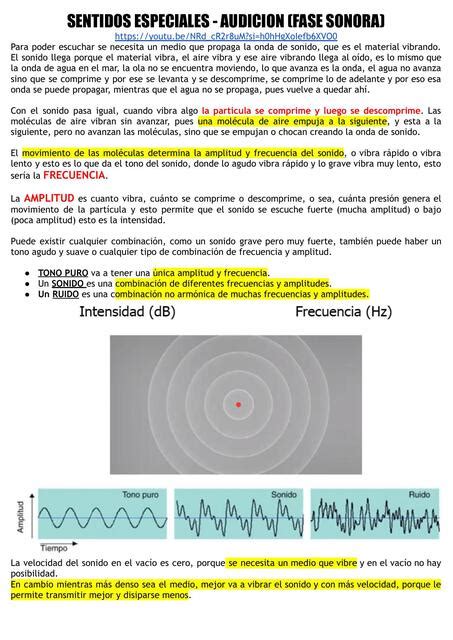 Audición sentidos especiales APUNTES MED UNLP uDocz