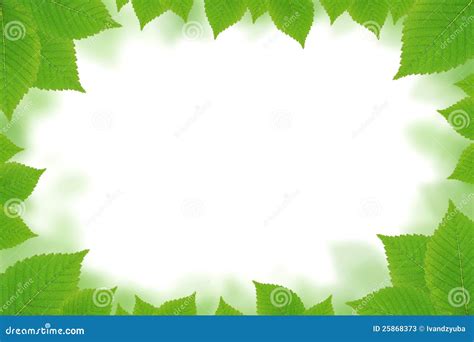 Green Leaves Border Stock Photos - Image: 25868373