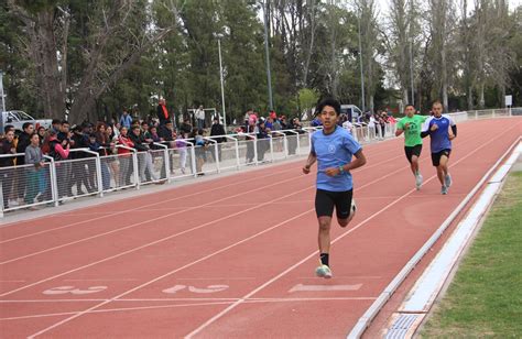 Sanrafaelinos Presentes En El Torneo Vendimia De Atletismo Diario San