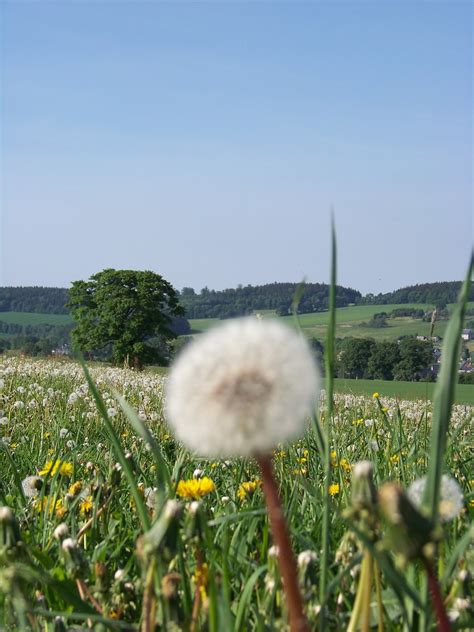 Kleine Radtour Flickr