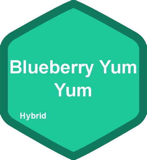 Blueberry Yum Yum, hybrid | The Duber