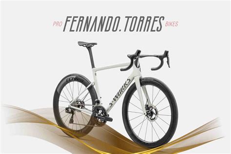 Review Tarmac Sl8 2024 4 Años De Espera Ft Probikes