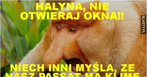 HALYNA NIE OTWIERAJ OKNA memy gify i śmieszne obrazki facebook