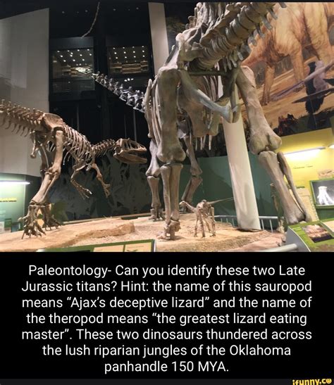 Paleontology Can You Identify These Two Late Jurassic Titans Hint