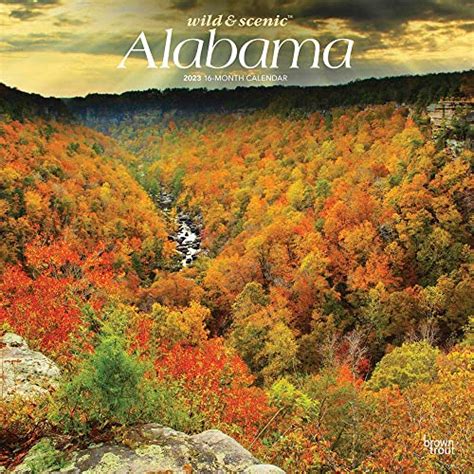 Alabama Wild Scenic X Inch Monthly Square Wall Calendar