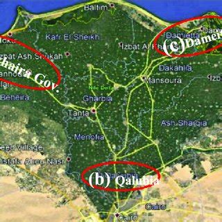 Locations of main cities simulating Delta region in Egypt. | Download ...