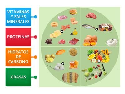 Los Nutrientes Recursos Did Cticos