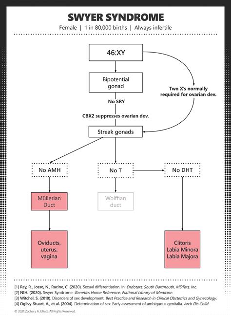 Sex Development Charts — Paradox Institute