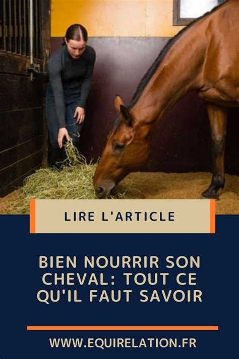 Bien Nourrir Son Cheval Tout Ce Qu Il Faut Savoir Equirelation