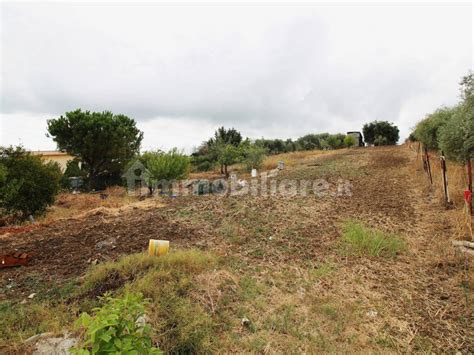 Terreno Agricolo Strada Vicinale Incorvino Santa Caterina Bagheria