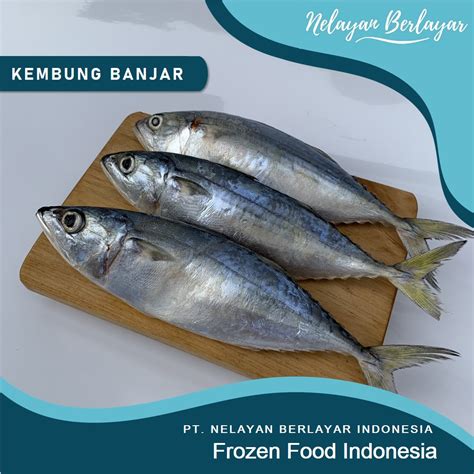 Jual Ikan Kembung Banjar PREMIUM LOKAL Segar Ikan Kembung Banjar Beku