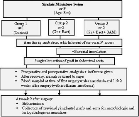 Prevention Of Perioperative Vascular Prosthetic Infection With A Novel Triple Antimicrobial