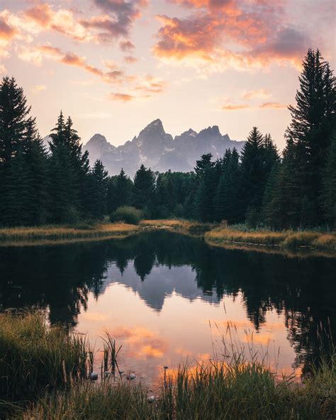 Landscape Nature Portrait Display Pine Trees Lake Mountains Forest ...