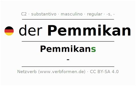 Declinação Pemmikan | Todas as formas, plural, regras, áudio | Netzverb ...