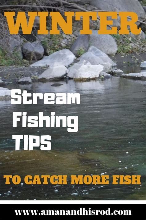 10 Rainbow Trout Fishing Tips And Tricks Artofit