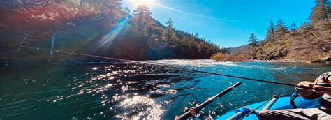 Sacramento River Striped Bass Fishing Trips | Dave Jacobs Fishing Guide