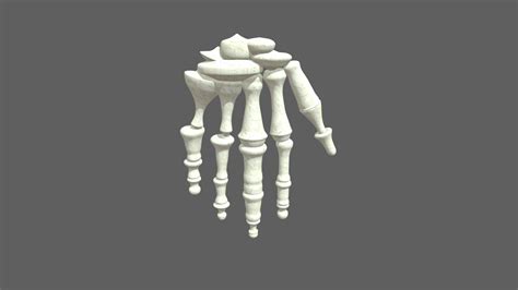 Skeletal Hand Download Free 3d Model By David3da 04a6f86 Sketchfab