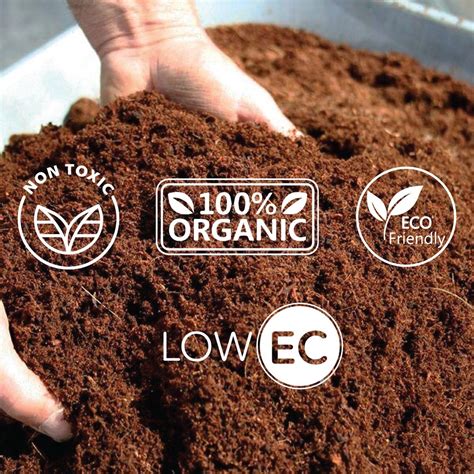 Organic Coco Peat Powder Packaging Type Packet Packaging Size