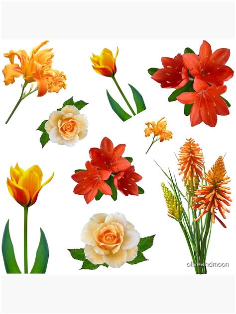 Bulleted List Clipart Flowers