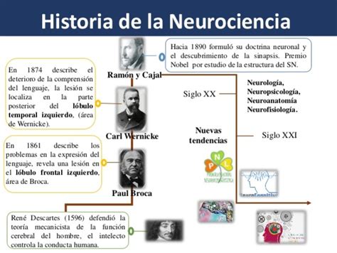 Las Neurociencias De La Conducta Un Viaje Que No Se Detiene Timeline