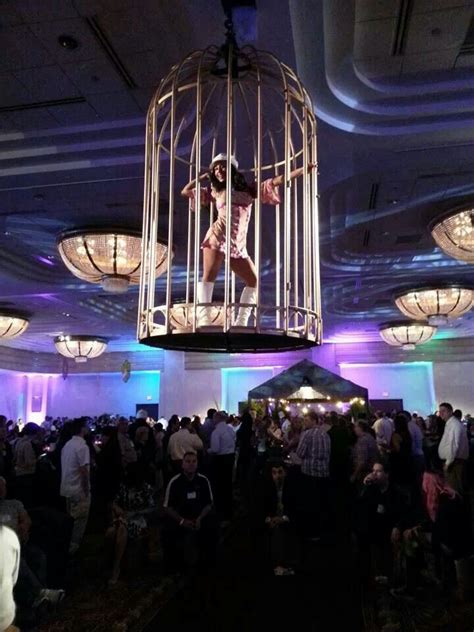 Aerial Dance Cage | Nightclub design, Night club, Cage dance