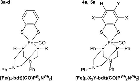 Overview Of The Mononuclear Penta Coordinate Fe Ii Complexes With Its