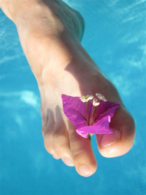 Free Images Hand Water Blossom Girl Flower Petal Female Leg