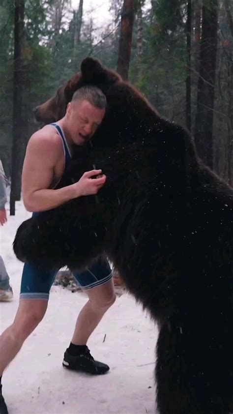 would you wrestling with 🐻? #wrestling #bear | Grizzly bear, Black bear ...