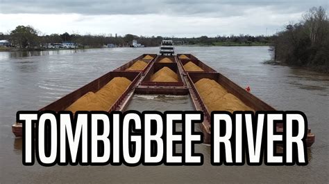 Pushboats On The Tombigbee River Near Demopolis 019 YouTube