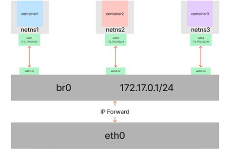 Exploring Container Networking Principles Through Linux Network