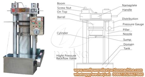 Hydraulic Press Sunflower Oil Extraction Machine Running Video