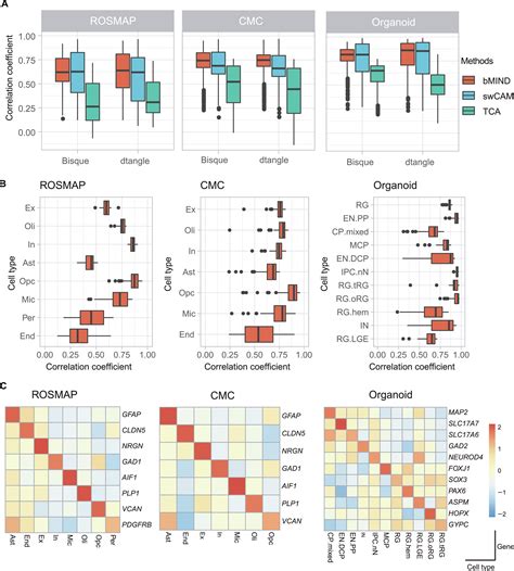 Evaluating Performance And Applications Of Sample Wise Cell