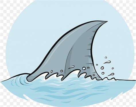 Shark Dorsal Fin Cartoon Clip Art Png X Px Shark