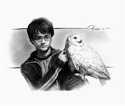 Retratos Y Dibujos A L Piz Profesionales Harry Potter En