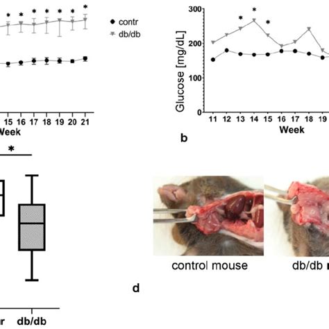 The Development Of MetS Symptoms In Db Db Mice A Body Weight Gain