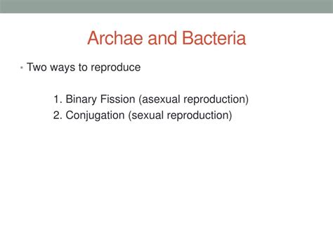 Ppt Reproduction In Microorganisms Powerpoint Presentation Free Download Id 2391365