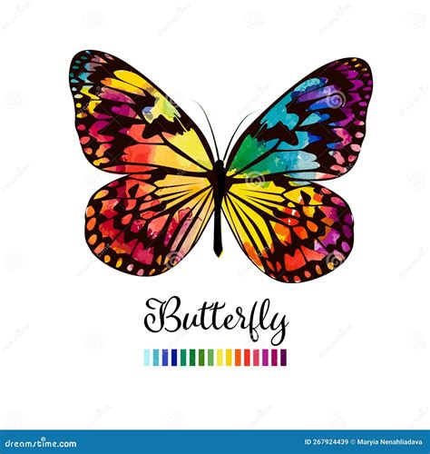 Beautiful Colorful Butterfly Vector Illustration Stock Vector