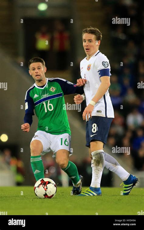 Northern Ireland S Oliver Norwood And Norway S Stefan Johansen Stock