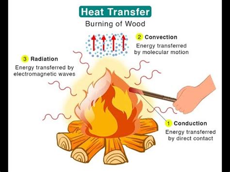 Importance Of Heat And Light Energy In Our Daily Life Youtube