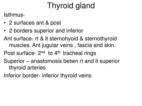 Ppt Thyroid Gland Powerpoint Presentation Free Download Id 1750248