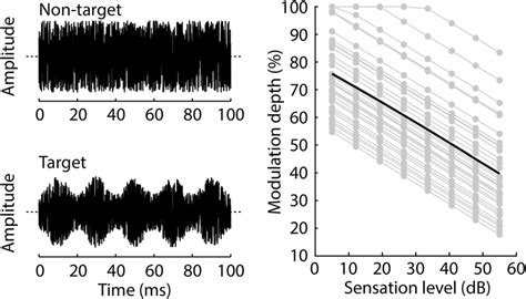 Acoustic Stimuli And Am Depths For Behavioral Experiment Ii Left