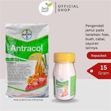 Jual Repacked 15 Gram Fungisida ANTRACOL 70WP Mengatasi Jamur Pada