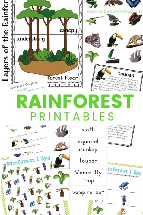 Rainforest Lesson Plans and Rainforest Activities for Kids - Natural ...