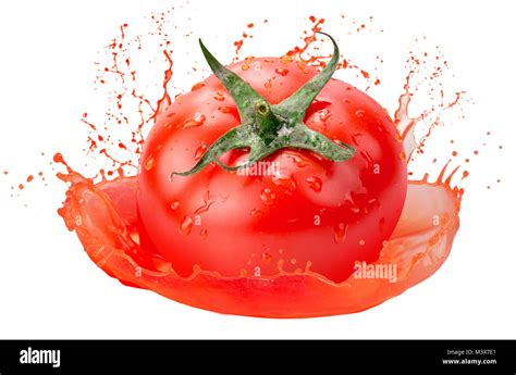 Tomato Splash