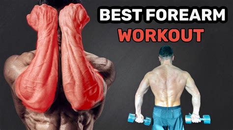 Killer 7 Min Forearm Workout 7 Best Dumbbell Forearm Exercises Youtube