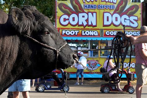 Iowa State Fair 2024 Schedule Lora Marlee