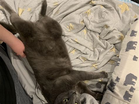 I Have All The Pussy I Ever Need R Teenagers