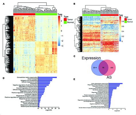 Gene Expression Analysis And Gene Alternative Splicing As Event